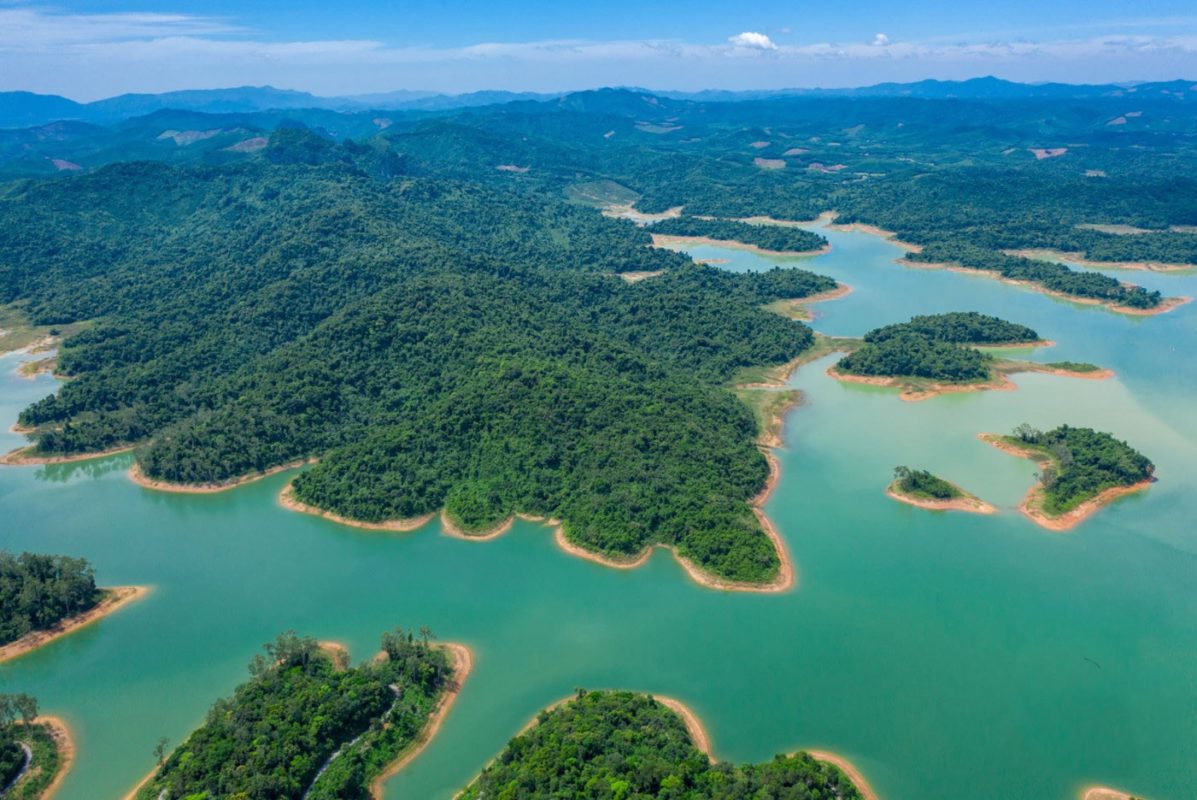 Rừng quốc gia Bến En